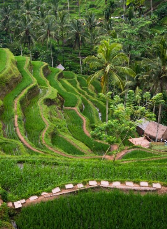 Ubud